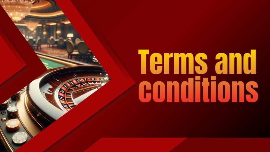 Understanding Online Terms and Conditions in MNL168